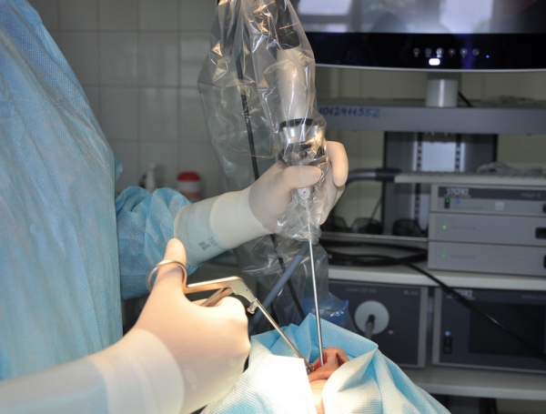 Хирурги Ростовского НМИЦ онкологии внедрили новые технологии лечения опухолей органов головы и шеи